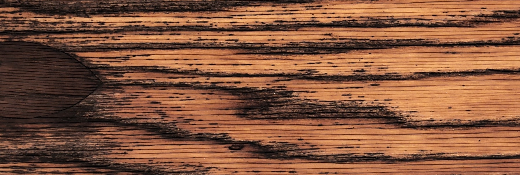 wood-Textured Backgrounds