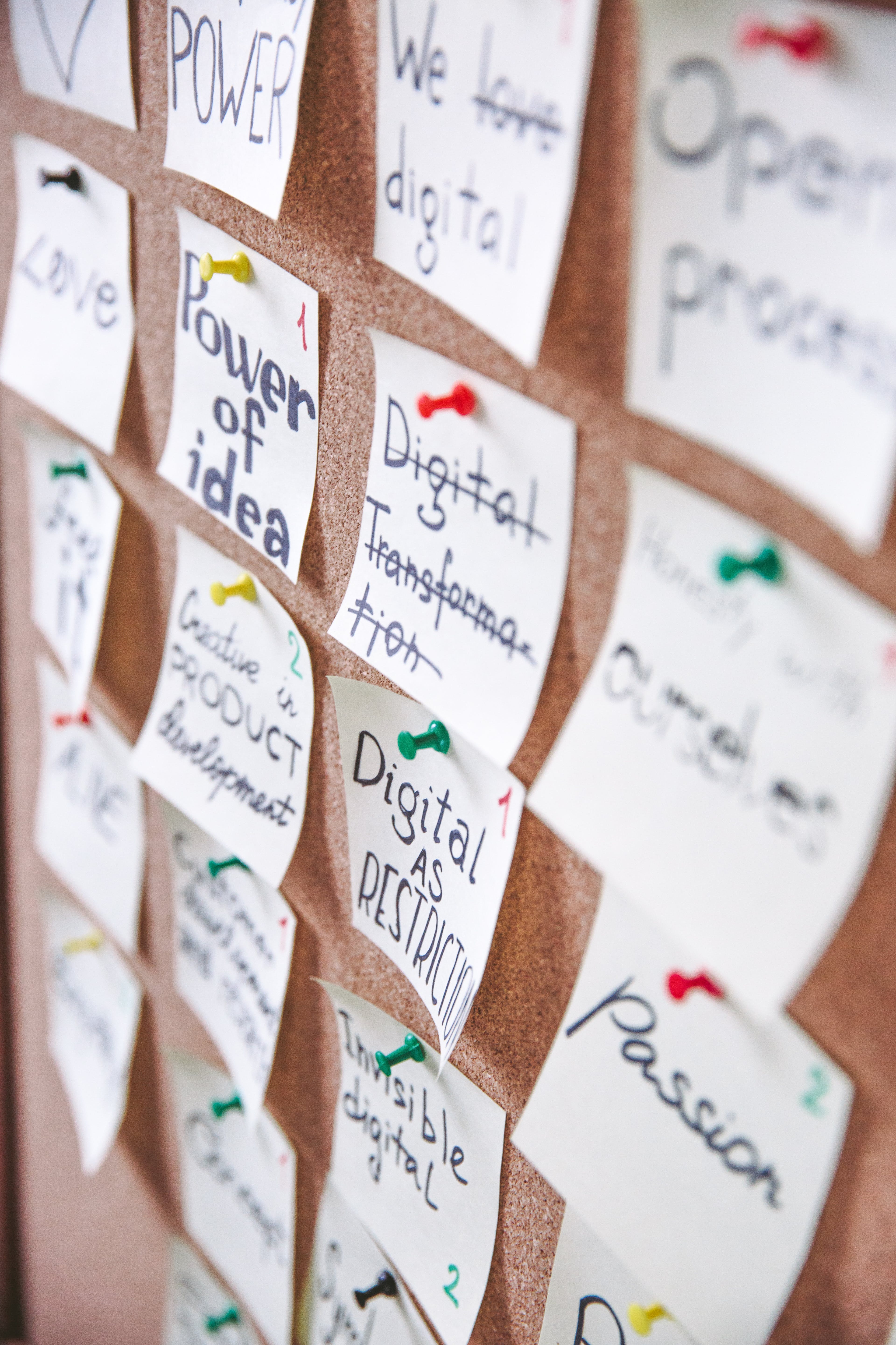 cork board plant pinned notes with a startup mvp plan